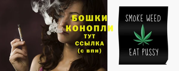 стаф Белая Холуница