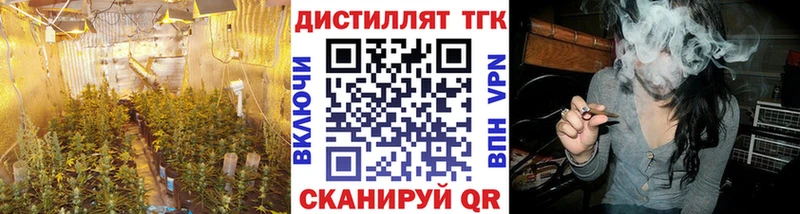 ТГК THC oil  Купить  Ардон 