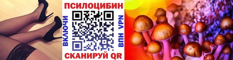 Купить закладки  Ардон  Галлюциногенные грибы Cubensis 